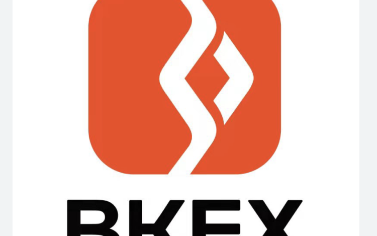 Bkex is a Scam: Avoid Broker!